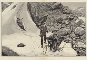 Norveç